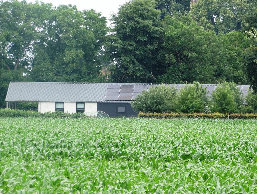 Liefkeshoek Villa Cuijk Eksteriør bilde